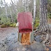 Auf dem direkt benachbarten Plateau steht ein hölzerner Sessel, der vorgibt, der Großvaterstuhl zu sein - bei diesem Wetter allerdings nicht gerade bequem.