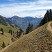 Je nach Ausrichtiung der Hänge blüht es noch nicht, blüht es schon fast, blüht es bereits oder ist verblüht. Sowas findet man nur im Gebirge...