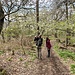 Nun wieder auf gleichem Weg wie hinwärts: Wildkirschblüten-Schnuppern.