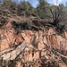 Auf dem herrlichen Panoramaweg von Kreuznach zur Gans: farbenfroher Porphyr am Wegrand.