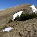 Weglos geht es nun zum Schönalmjoch hinauf. Der Steilstufe am Anfang kann man linksseitig ausweichen. Achtung, die Markierungen auf undeutlichen Pfad führen linkseitig am Schönalmjoch vorbei, nicht aber hinauf! 