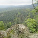 Auf dem ersten Felsen des Grats, Blick nach Nordosten. Links hinten ragt aus dem Wald der zuvor besuchte Beckenfelsen heraus.