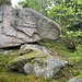 Dieser Felsen sieht aus wie ein nach rechts guckendes Schaf! Oder eine Schildkröte? Jedenfalls eindeutig ein versteinertes großes Tier aus Ur-Zeiten.