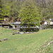 Monti di Orbello