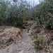 La foto non rende giustizia alla fatica. Da qui in poi portage a mano e in spalla della bici per lunghi tratti in cui il fondo del terreno roccioso e ripido impediva la pedalata. 