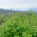 Panorama La Pelosa.