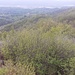 Panorama La Pelosa.