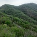 Panorama La Pelosa <br />