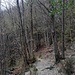 Single track su sentieri molto ben curati e segnati.