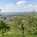 Der Westblick in die Rheinebene ist heute leider recht dunstig.