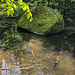 An der Wegkreuzung bei diesem kleinen Waldweiher gehen wir auf dem rechten Weg weiter.