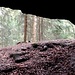 Die untere Frinzberghöhle