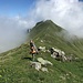 Gratwanderung vom Chlin Gürgaletsch ...