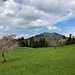 Hinüberblick zum Morgartenberg ...