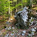 auf dem oberhalb durchführenden Forstweg weist dieses Steinmännchen auf den Weiteranstieg hin