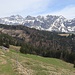 Abstieg zur Neuwald-Alp