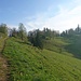 Am Gerensattel