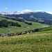 Frühlingsblumen :)