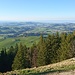 Blick Richtung Bodensee