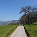 Weg zur "Frohen Aussicht"