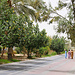 Tag 2 (2.5.):<br /><br />المنامة (Al Manāmah): Grüne Marinapromenade im Südosten der Stadt zwischen Schnellstrasse und Meeresufer.