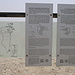 Tag 3 (3.5.):<br /><br />Infotafel bei der Festung قلعة البحرين (Qala‘ah al Baḩrayn).das seit 2005 als UNESCO-Welterbe ist.