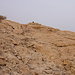 Tag 6 (6.5.) - جبل الدخان (Jabal ad Dukhān):<br /><br />Hat man den unteren, steileren Teil des Nordgrates hinter sich, zeigt sich der nördliche Vorgipfel mit dem kleinen Wachhäuschen, welches nach anderen Besteigungsberichten aber kaum jemals von Wachpersonal besetzt ist. Dennoch hielt ich mich meistens auch hier rechts unterhalb des Grats um nicht ins Blickfeld der stark gesicherten militärischen Luftüberwachungsstation auf dem Südgipfel zu gelangen.
