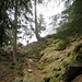 Sopra il rifugio il sentiero per il Trusp