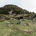 Ripida discesa sui pratoni sotto il rifugio