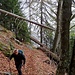 Sentiero
