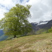Monte di Fuori punto panoramico