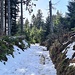 Nasser Schnee auf schlammigem Geläuf prägt den letzten Teil des Anstieges