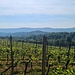 Blick nach Südosten 
