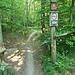 Auf der Ludwigshöhe starten einige MTB-Trails, warum dann die Schilder aufgestellt sind —> ?
