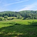 Landschaft, keine Ahnung mehr, was das Bild genau zeigt