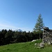 Alpe Godone e Legnone