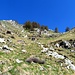 Salita per Alpe di Pero