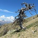 Discesa in direttissima verso Pescedo