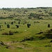 The Hurlers - Hinkelsteine im Kreis, vermutlich von der Landbevölkerung (wieder-) aufgestellt. Eigentlich handelt es sich um zu Stein gewordene junge Männer, die es gewagt hatten Sonntags Rugby spielten