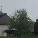 Libingen