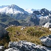 Alpengarten mit Wildstrubel im Hintergrund