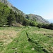 Dai bucolici prati dell’Alpe Godone il sentiero  procede tranquillo verso i ruderi dell’Alpe Derschen, che si trova sul promontorio visibile sullo sfondo.