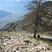 Ripartenza dai ruderi dell’Alpe di Pero verso la sella dove, girando a sinistra, si dovrebbe arrivare sulla cima. Sullo sfondo, l’inizio del Piano di Chiavenna e della Valtellina.