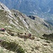 Ormai è fatta, ecco l’ultimo ripido tiro che ci porterò poco sotto la cima, che fatica!