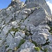Liebliche Kletterei am Adlerspitzli