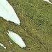 Ausstieg aus dem Haubitzli: Die Zunge des Schneefelds aus dem letzten Bild herangezoomt.<br />An dessen Spitze erkennt man eine blau-weisse und eine rot-weisse Markierung. Am rechten Rand des Schneefelds etwas weiter oben sieht man ebenfalls eine blau-weisse Markierung.