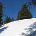 oben dann doch noch Winter