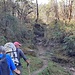 Im "Jungle" wenig unterhalb dem Pass Pangom La