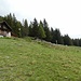 Alpe Cicerwald