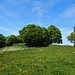 Rückblick zum Hinterwaldkopf